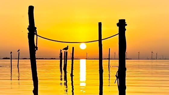 Heerlijk weer IJsselmeer Andijk