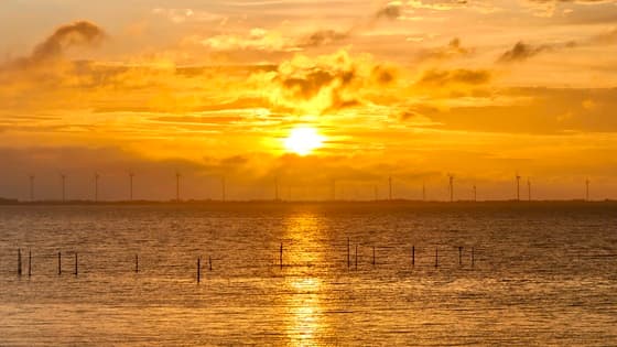 Zonsondergang IJsselmeer Andijk