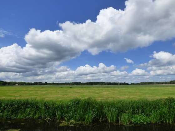 Hollandse luchten! Blaricum vanmorgen.