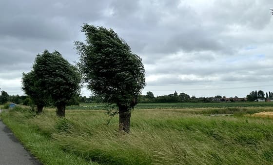 Bewolkt en stevige zuidwestenwind.