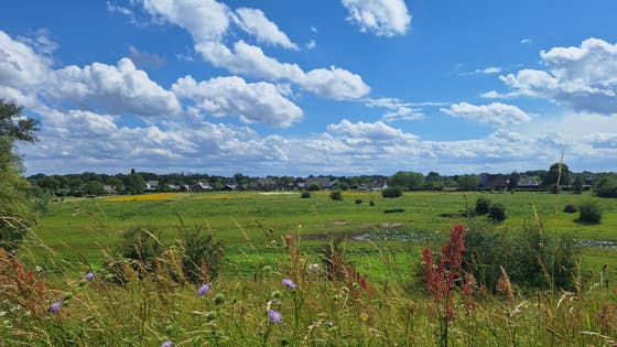 vriendelijk weerbeeld, soms.