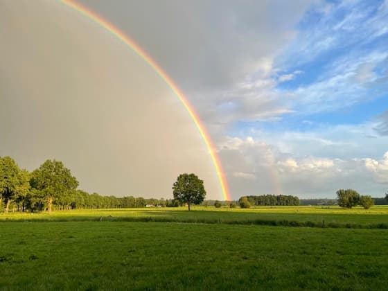 Regenboog in de Gelderse Vallei