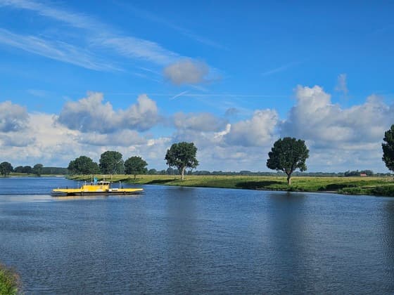 Dianne van der Heijden, Lith (N-BR)