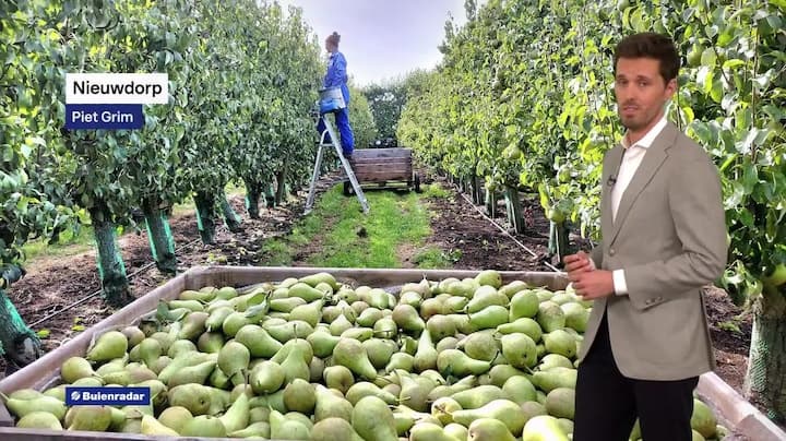 RTL Weer - Laat
