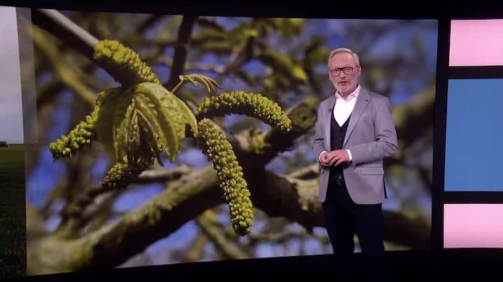 Weervideo afbeelding