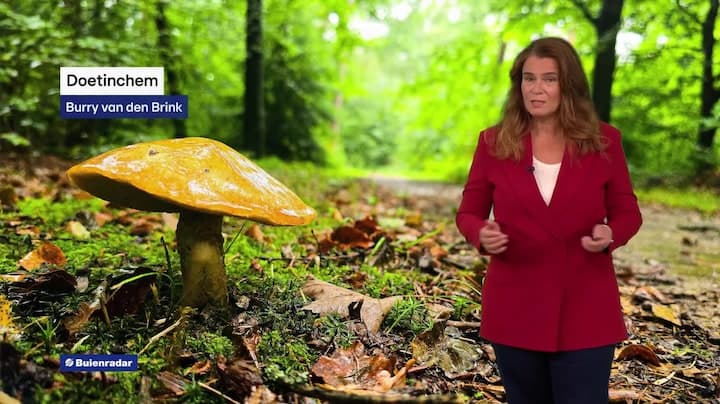 RTL Weer - Laat