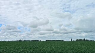 Wolken