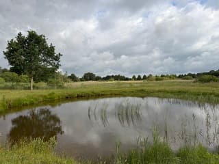 Wolken 
