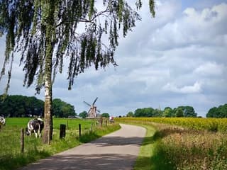 Af en toe een zonnetje 