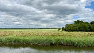 Mooie uitzichten over de Biesbosch 