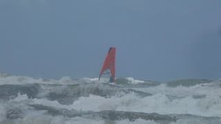 Hoge golven 