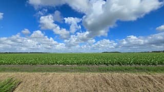 Mooi drogende wind 