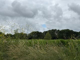 Bewolkt