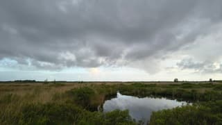 Wolken