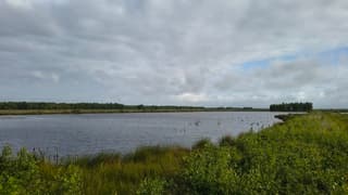 Streepje blauw