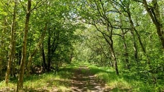 Groenexplosie op Texel 