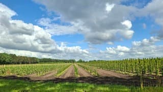 Wolkenlucht en de zon