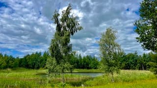 Drenthe: Prima wandelweer. Wel veel wind en een paar buitjes.