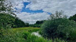 Drenthe: Prima wandelweer. Wel veel wind en een paar buitjes.