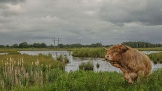 Veel bewolking!