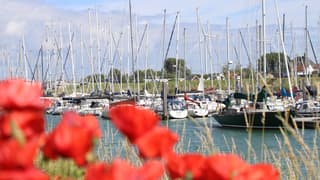 Bootjes en klaprozen