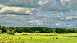 Mooie wolkenluchten vanaf de Luttenberg 31 m. 16.46 u.