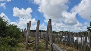 Bewolkte lucht en zon 