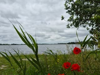 Wolken en bloemen