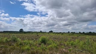 Opklaringen boven de heide