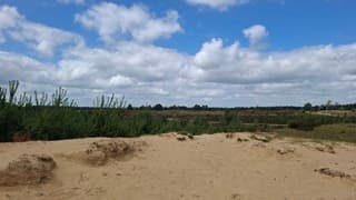 Drents-Friese Wold