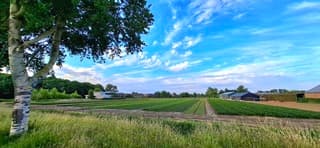 Nu al veel blauwe lucht in Beverwijk 