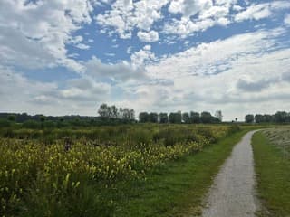 Wandelen