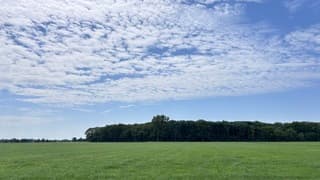 Hemelsblauw in aantocht 
