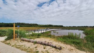 De Tureluurbrug