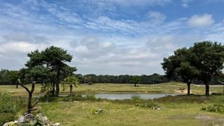 Wolkenvelden 