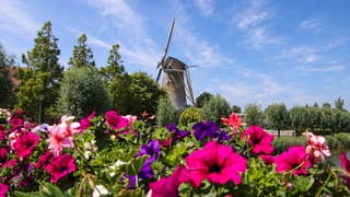 Cirruscircus rondom de molen