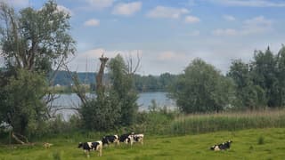 heerlijk landelijk tafreel