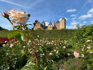 Heemskerk 