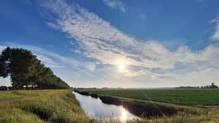 Avondlucht