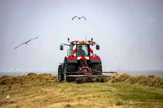 Vers gemaaid gras binnen halen voor de regen 