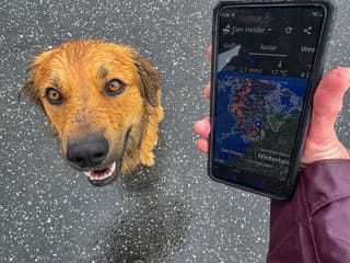 Had ik nou maar vóór het hond uitlaten op buienradar gekeken...
