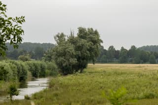 Grijze lucht en gespetter op Zuid-Beveland