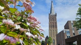 Zonnig weer