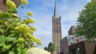 Steenwijk 