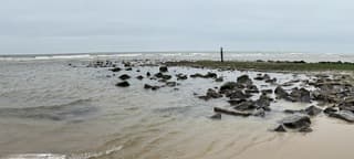 Strekdam bij Schoorl aan Zee