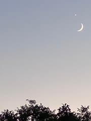 De heldere planeet Venus en de maan