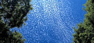 Schaapjeswolken 