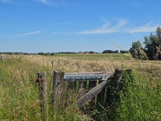 Zomer en zon
