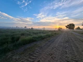 Ochtend mist op de Kampina