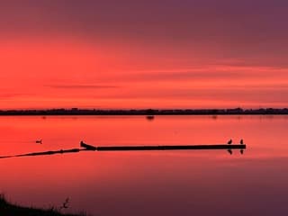 Zonsondergang Grote Wielen Leeuwarden